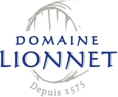LOGO-DOMAINE-LIONNET-BLEU